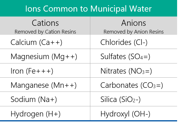 Ions commonly found in municipal water that cause scaling